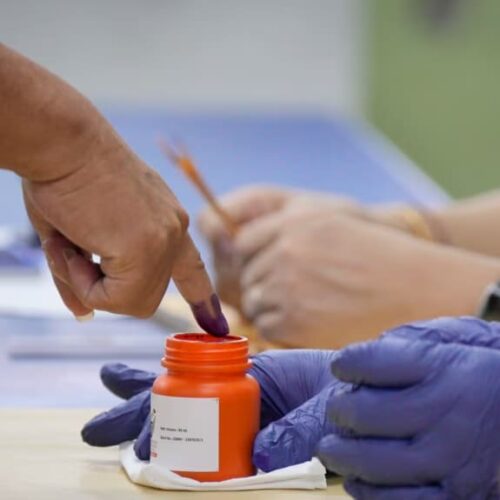 Zogaj: diaspora ka të drejtën e votës, nuk mund të heshtet