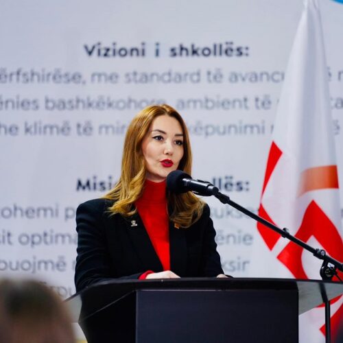 Nikçi Rexha: VV dhe PDK po bllokojnë pastrimin e Prishtinës për inate politike – LDK nuk ndalet!